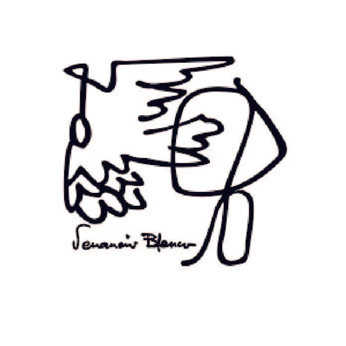 ies venancio blanco salamanca